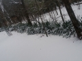 20180301_164636_resize
