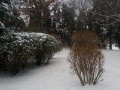 20180301_164716_resize