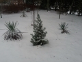 20180301_164743_resize