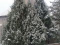 20180301_165207_resize