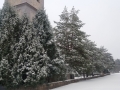 20180301_165218_resize