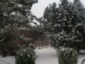 20180301_165242_resize