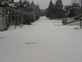 20180301_165439_resize