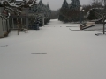 20180301_165441_resize