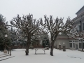 20180301_165509_resize