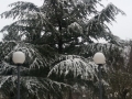 20180301_165722_resize