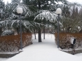 20180301_165729_resize