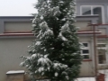 20180301_165801_resize