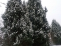 20180301_165913_resize