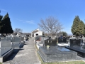 DSC_6367_resize
