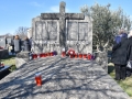 DSC_6385_resize