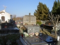 11680991_resize