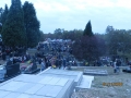 IMG_8632_resize