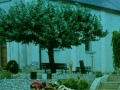 lipa-4