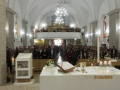 IMG_3800_resize