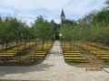 IMG_9723_resize