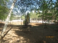 IMG_7885_resize