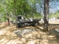 IMG_7886_resize