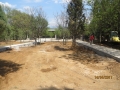 IMG_7936_resize