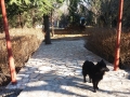 20161216_104607_resize
