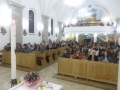 IMG_8061_resize