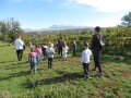 IMG_1952_resize