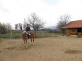 IMG_7582_resize