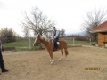 IMG_7584_resize
