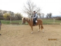 IMG_7586_resize