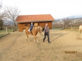 IMG_7597_resize