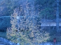 IMG_8814_resize