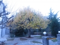 IMG_8817_resize
