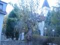 IMG_8818_resize