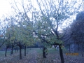 IMG_8819_resize