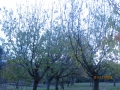 IMG_8820_resize