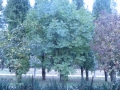 IMG_8821_resize