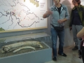 IMG_1608_resize