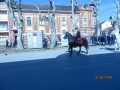 IMG_3781_resize