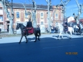 IMG_3782_resize