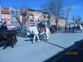 IMG_3805_resize