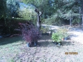 IMG_8504_resize